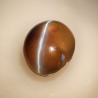 Gem Gardener, cat eye alexandrite chrysoberyl, alexandrite cat's eye stone, cat eye stone singapore, chrysoberyl alexandrite gem, crystals and stones for sale, chrysoberyl alexandrite gem, alexandrite cat's eye stone, cat eye stone singapore, crystals and stones for sale, chrysoberyl alexandrite gem, cats eye gemstone ring, transparent cats eye stone, cat's eye alexandrite ring