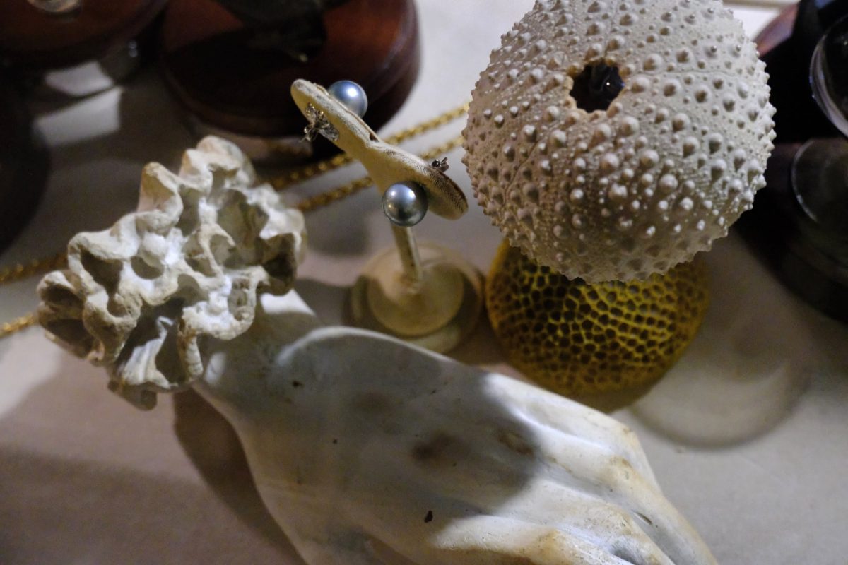 blue pearl reef