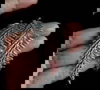 diamond white gold feather earrings video