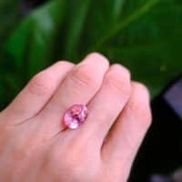 Gem Gardener, Unheated Padparadscha Sapphire, buy Unheated Padparadscha Sapphire, padparadscha sapphire singapore, 5 carat padparadscha sapphire, padparadscha sapphire for sale