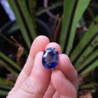 natural royal blue sapphire, unheated royal blue sapphire, royal blue sapphire gemstone, unheated blue sapphire price per carat, blue sapphire stone singapore, Gem Gardener