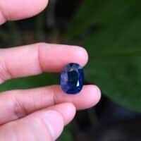 natural royal blue sapphire, unheated royal blue sapphire, royal blue sapphire gemstone, unheated blue sapphire price per carat, blue sapphire stone singapore, Gem Gardener