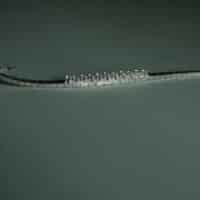 white gold diamond bracelet engraved, Antique Diamond Bracelet, diamond omega watch bracelet, antique diamond bracelets for sale, antique peranakan jewellery, vintage diamond bracelets, diamond bracelet singapore, Gem Gardener