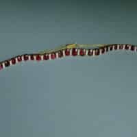 Natural Ruby Necklace Gold, red ruby jewellery singapore, ruby diamond necklace gold, ruby unheated jewelry, ruby necklace singapore, ruby wedding necklace, ruby wedding jewellery, Gem Gardener