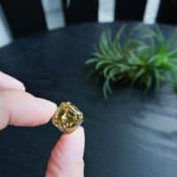 Fancy Yellow Asscher Diamond, 11ct diamond price, fancy yellow diamond, fancy yellow diamonds for sale, fancy diamond singapore, loose diamond singapore, Gem Gardener