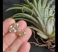oval brilliant diamond, oval brilliant cut diamond, light yellow diamond price, oval yellow diamond ring, fancy yellow oval diamond, light yellow oval diamond, light yellow diamond engagement rings, oval diamond ring singapore, Gem Gardener