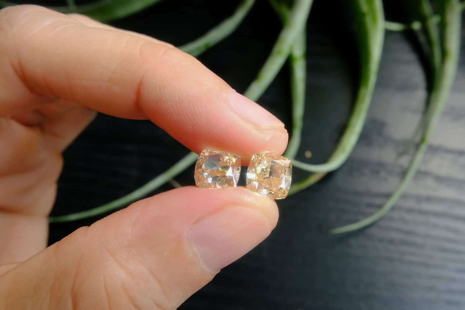 Fancy Light Yellow Diamond, fancy yellow diamond stud earrings, 2ct each diamond earrings, 2ct fancy yellow diamond, 2 carat yellow diamond earrings, light yellow diamond earrings, yellow diamond singapore, Gem Gardener