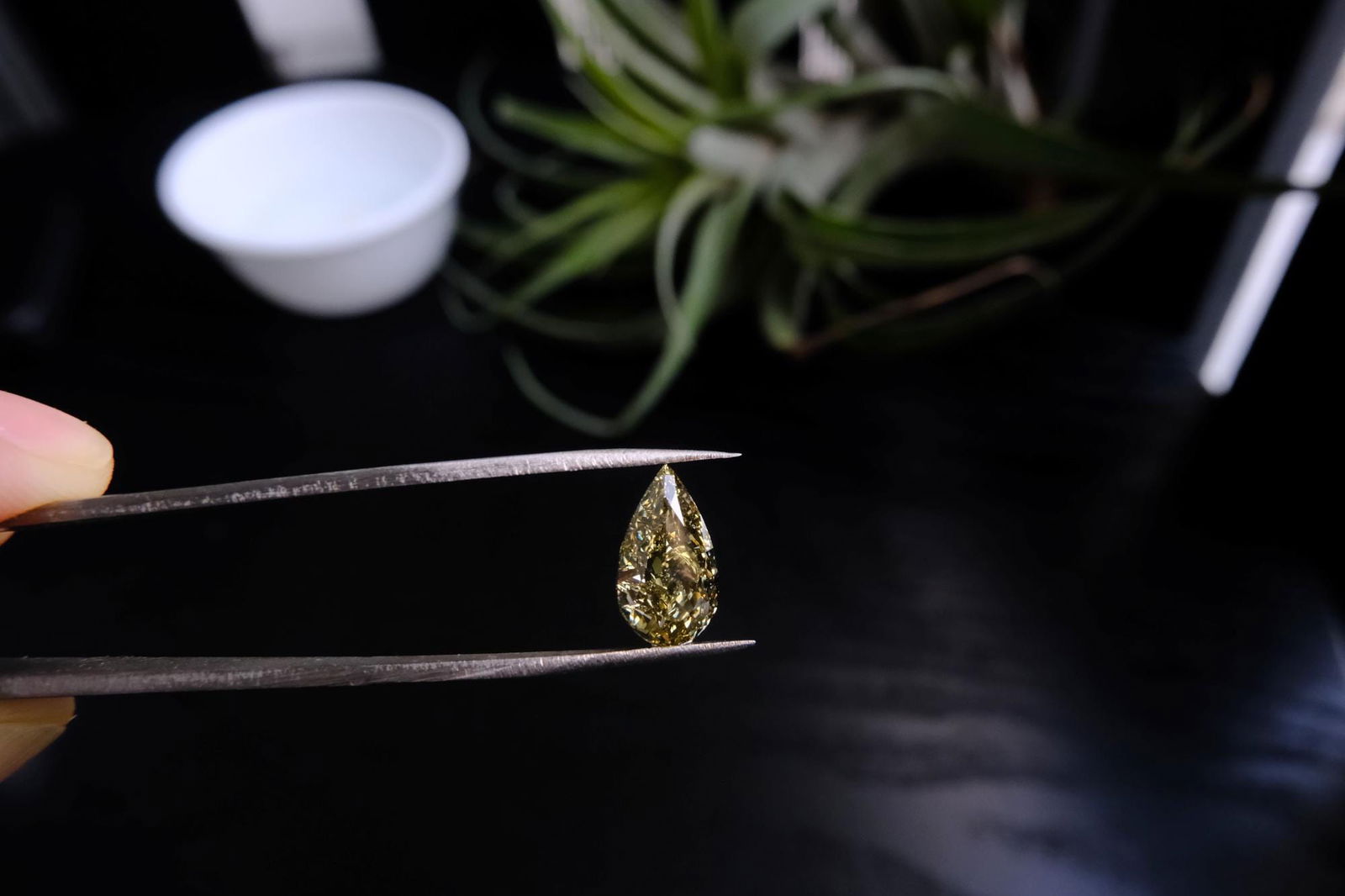 Fancy Dark Green Diamond, fancy yellow green diamond, fancy dark brown greenish yellow diamond, fancy deep green diamond, green diamond loose stones, dark green diamond ring, loose green diamonds for sale, loose diamonds singapore, Gem Gardener