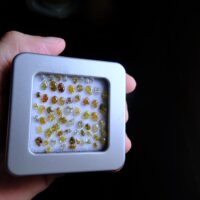 fancy loose diamonds, loose diamond parcels, fancy yellow loose diamond, buy fancy yellow diamond, accent diamonds for sale, small colored diamonds, accent diamonds price, fancy diamond jewellery, Gem Gardener