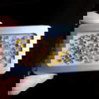 fancy color loose diamonds, fancy loose diamonds, loose diamond parcels, fancy yellow loose diamond, buy fancy yellow diamond, accent diamonds for sale, small colored diamonds, accent diamonds price, fancy diamond jewellery, Gem Gardener