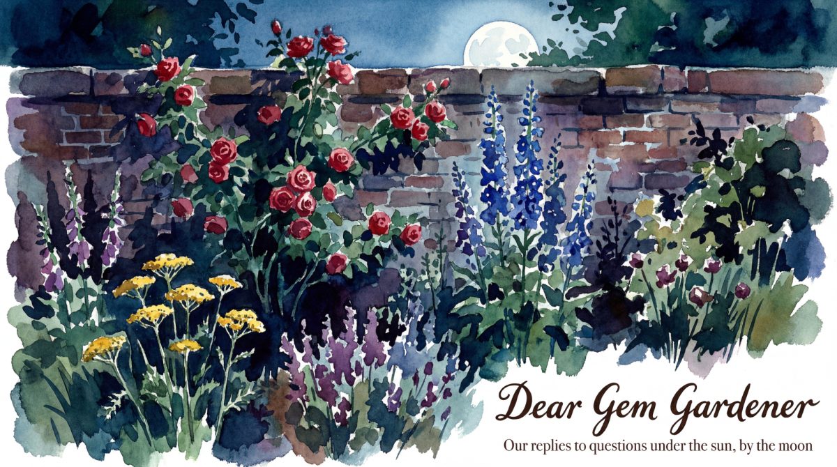 walled garden